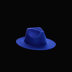 Navy Fedora